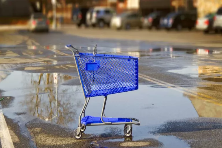 Shopping cart Abandonment