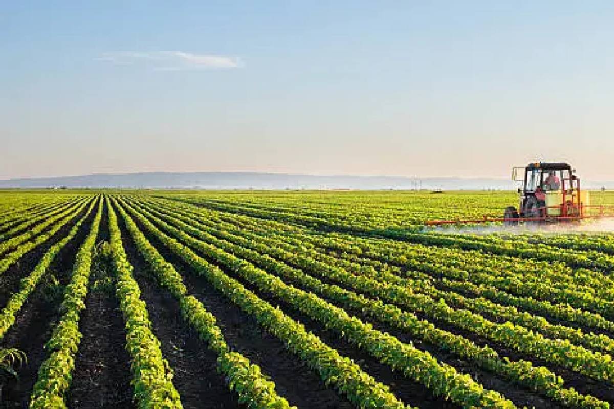 Mistakes Silicon Valley Is Making Regarding Agriculture