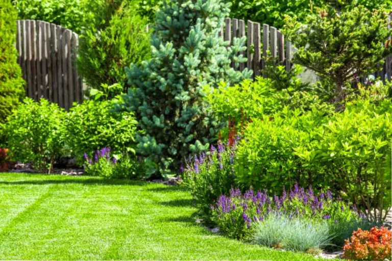 Ways To Keep Your Garden Healthy